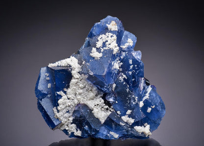CC44326 specimen image
