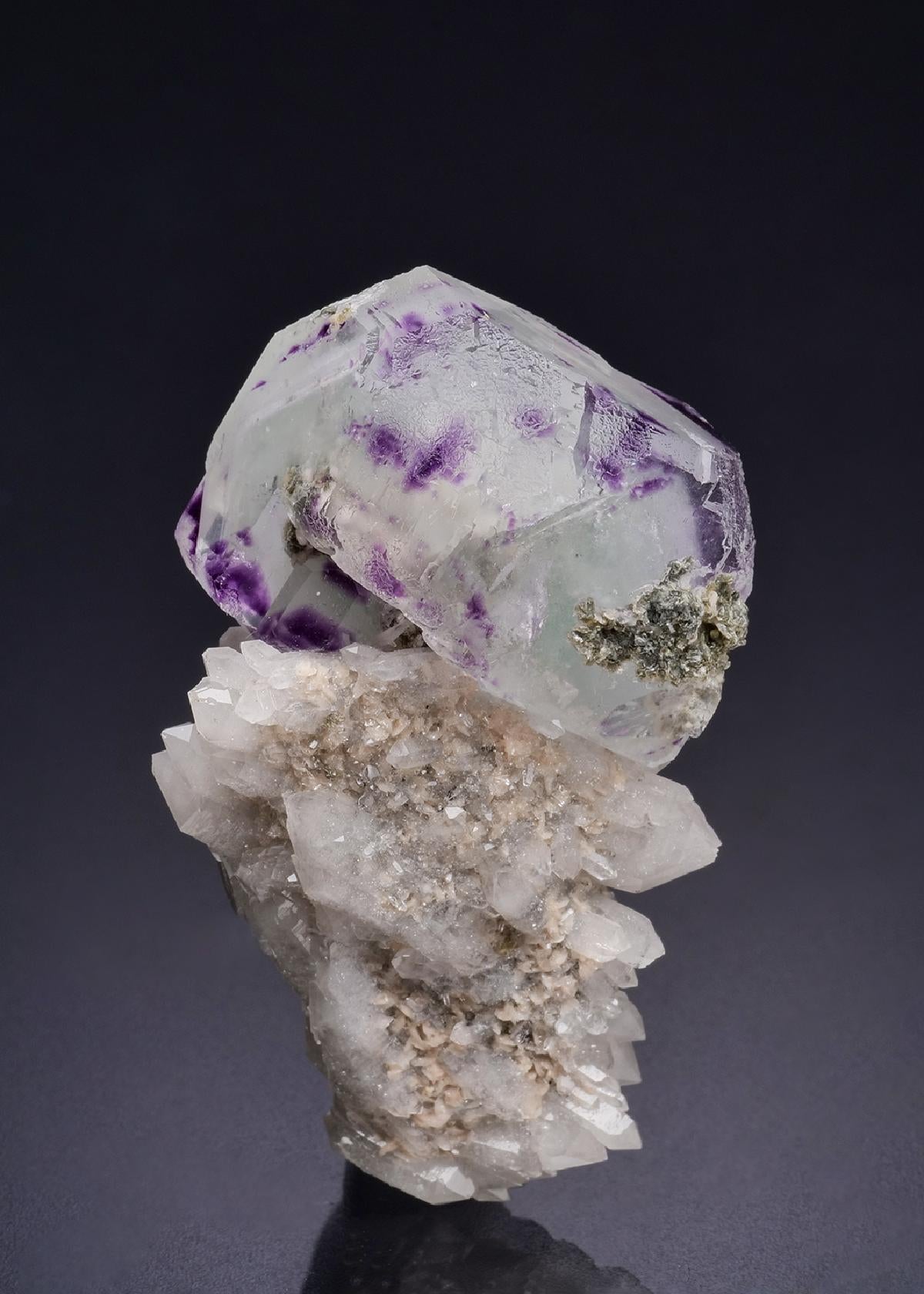 CC44362 specimen image