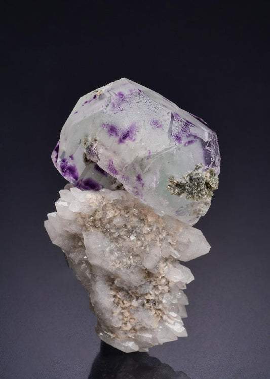 CC44362 specimen image