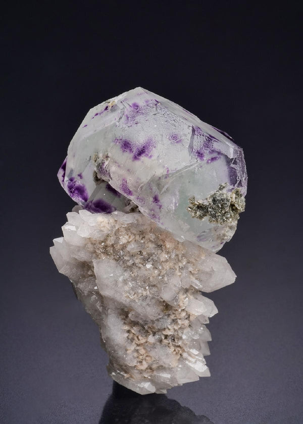 CC44362 specimen image