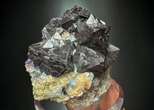 CC44376 specimen image