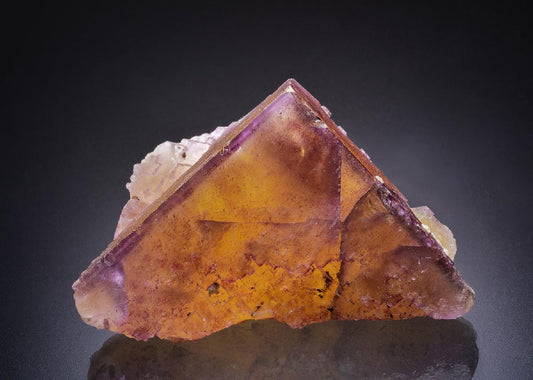 CC44420 specimen image