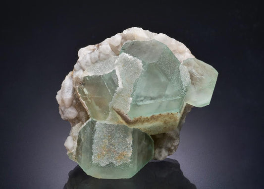CC44428 specimen image