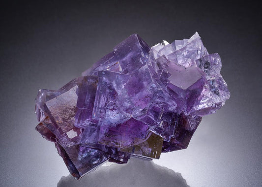 CC44430 specimen image