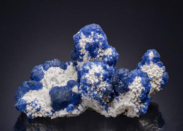 CC44438 specimen image