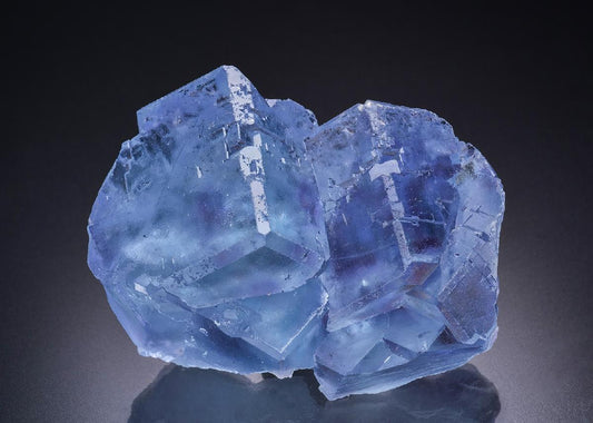 CC44442 specimen image