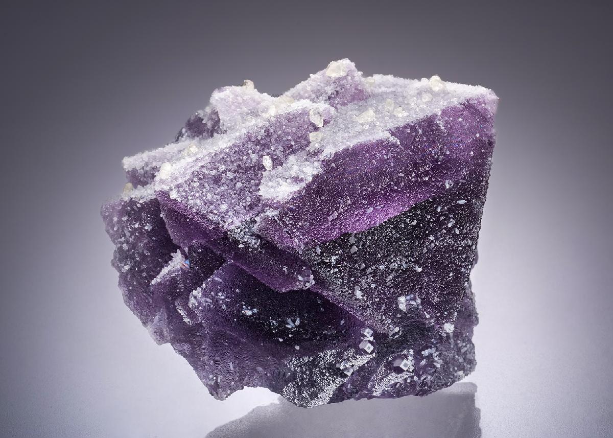 CC44444 specimen image