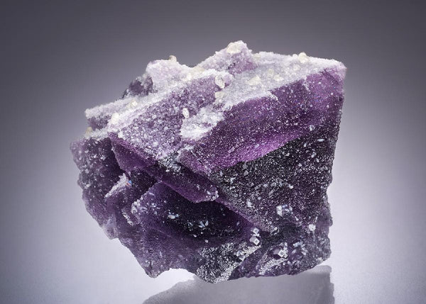 CC44444 specimen image