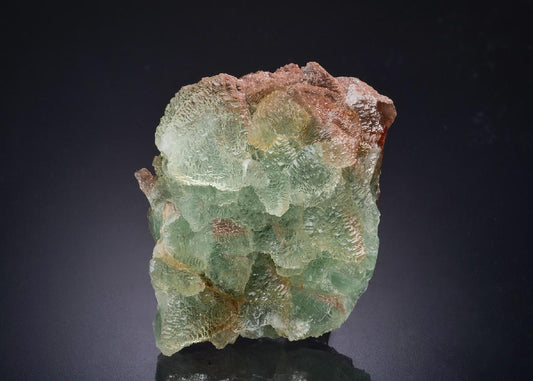 CC44450 specimen image