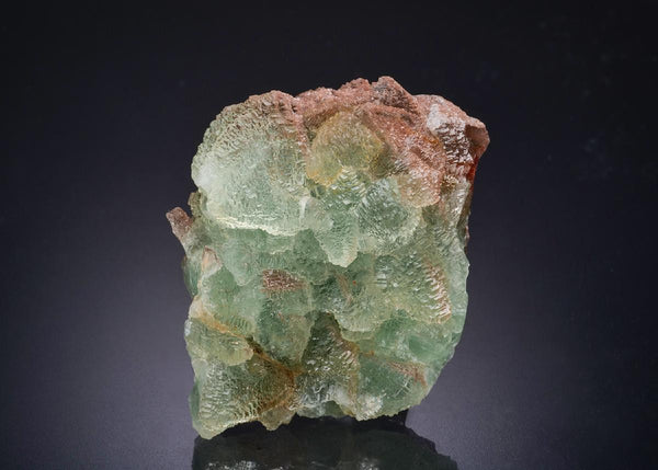 CC44450 specimen image