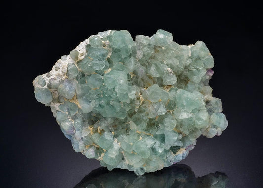 CC44454 specimen image