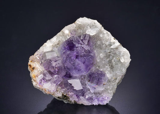 CC44468 specimen image