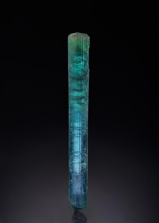 CC44494 specimen image