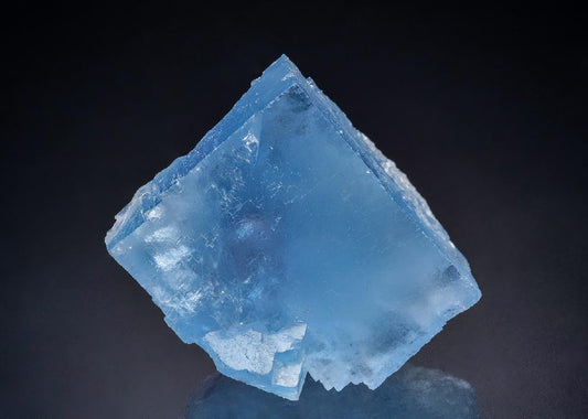 CC44522 specimen image