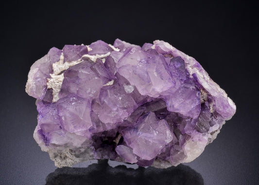 CC44532 specimen image