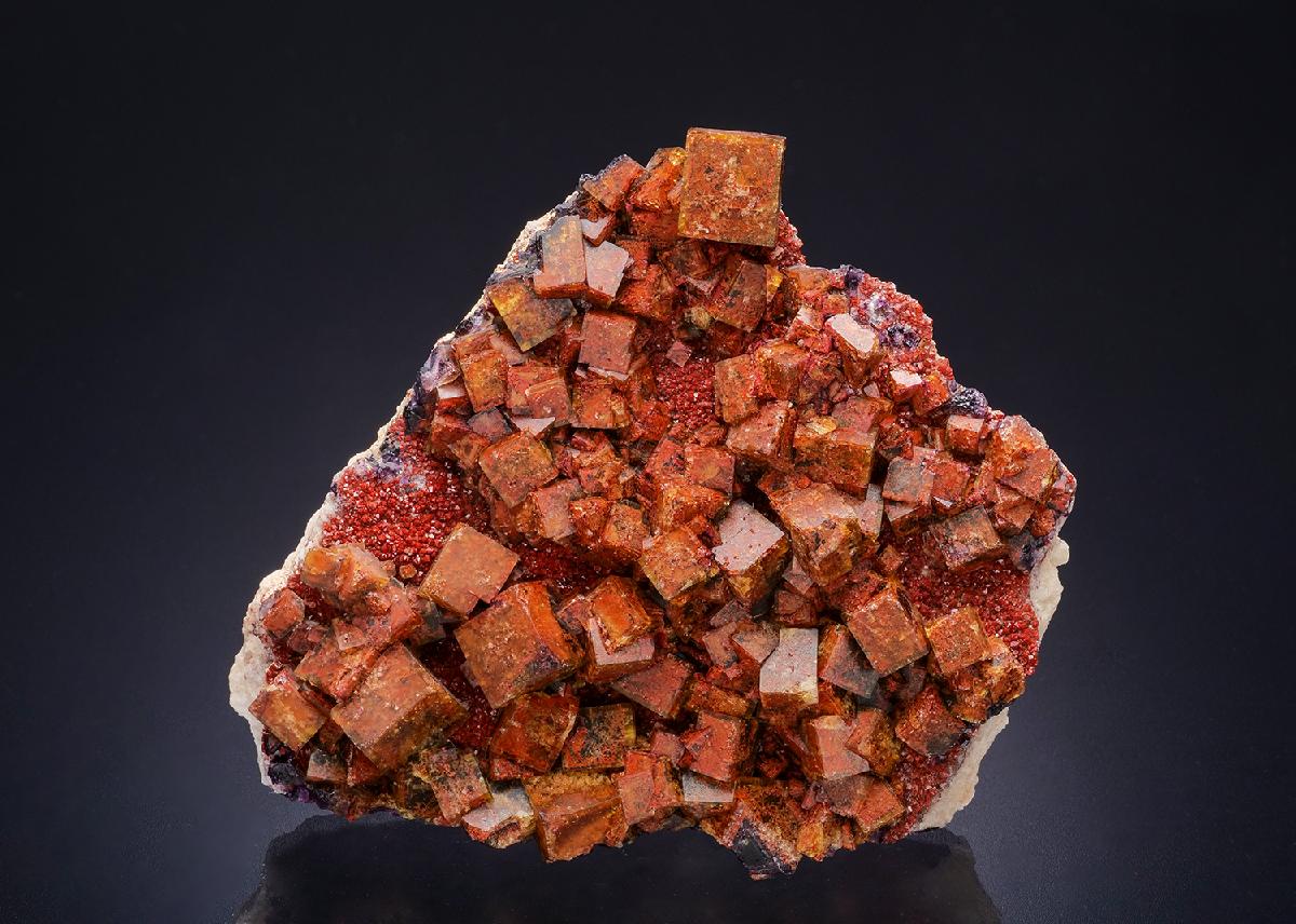 CC44556 specimen image