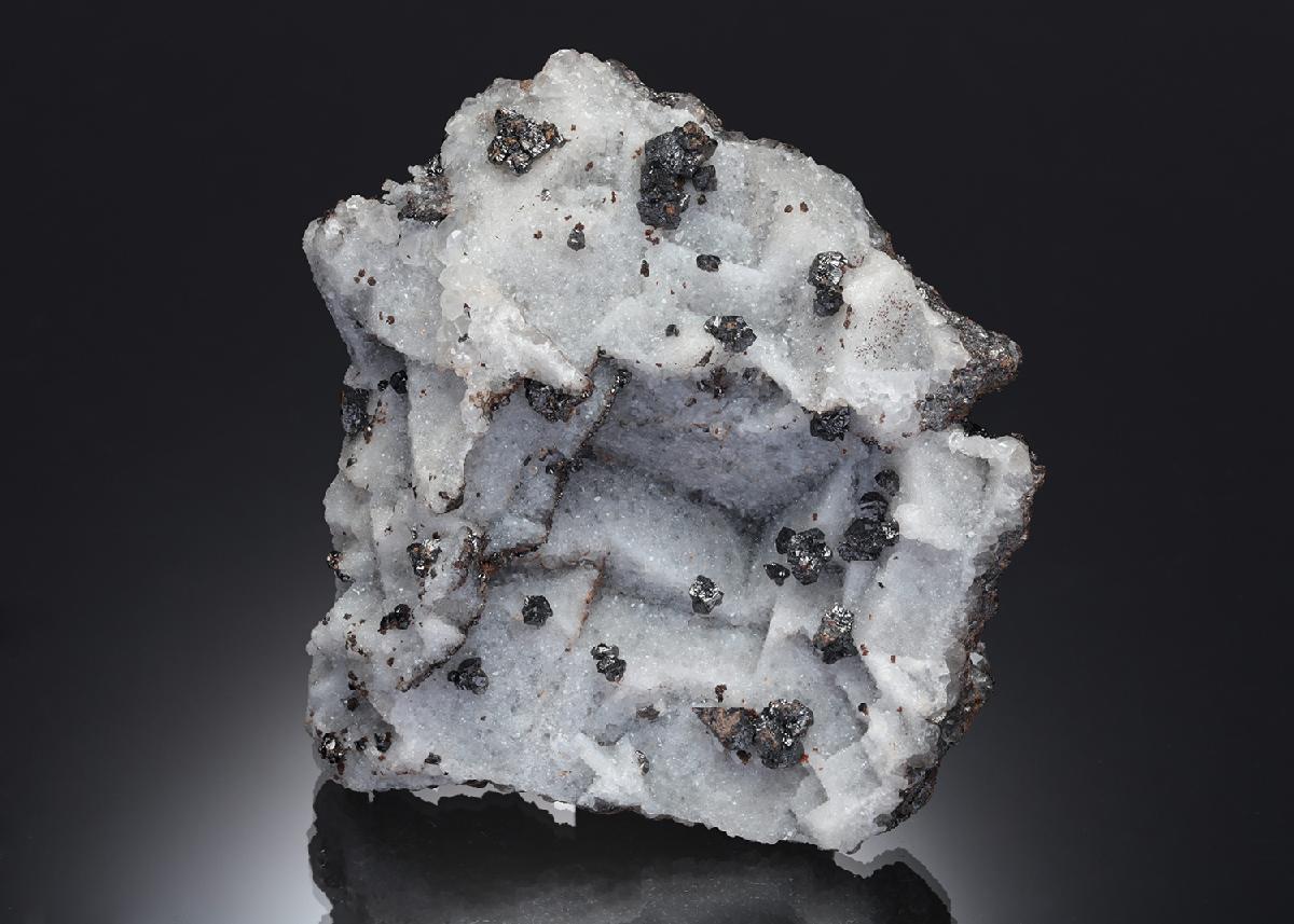 CC4456 specimen image