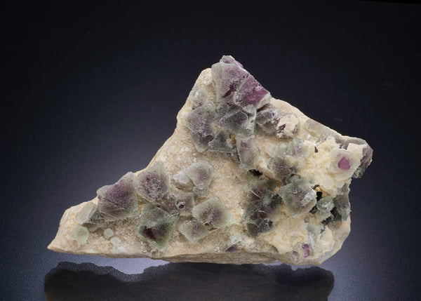 CC44618 specimen image
