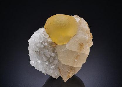 CC44630 specimen image