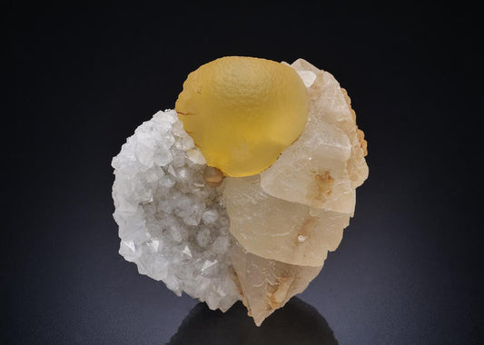 CC44630 specimen image
