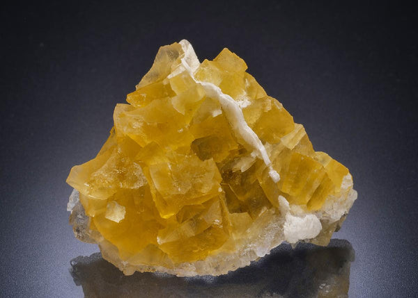 CC44634 specimen image