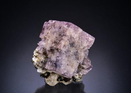 CC44640 specimen image