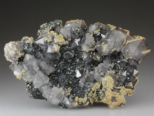 CC4466 specimen image