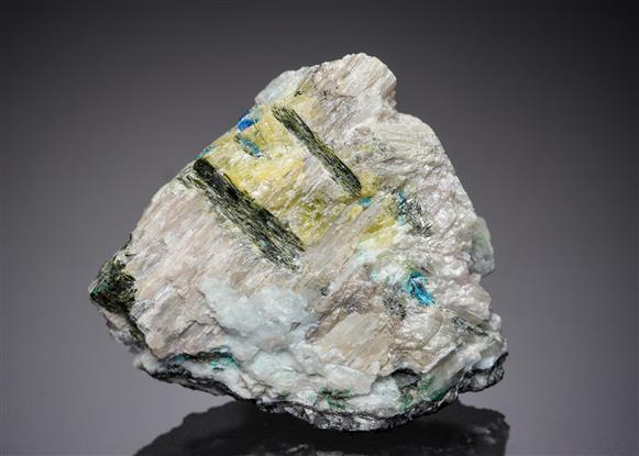 CC4467 specimen image