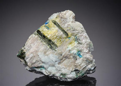 CC4467 specimen image