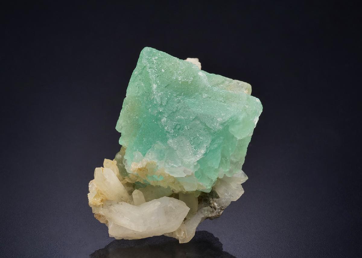 CC44670 specimen image