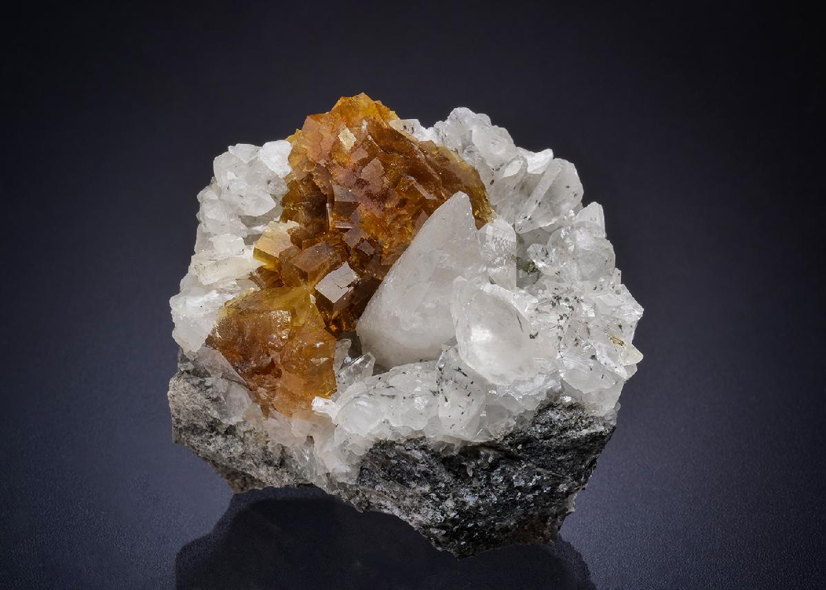CC44742 specimen image