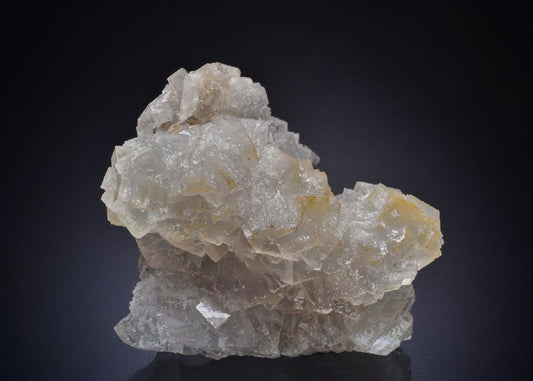 CC44744 specimen image