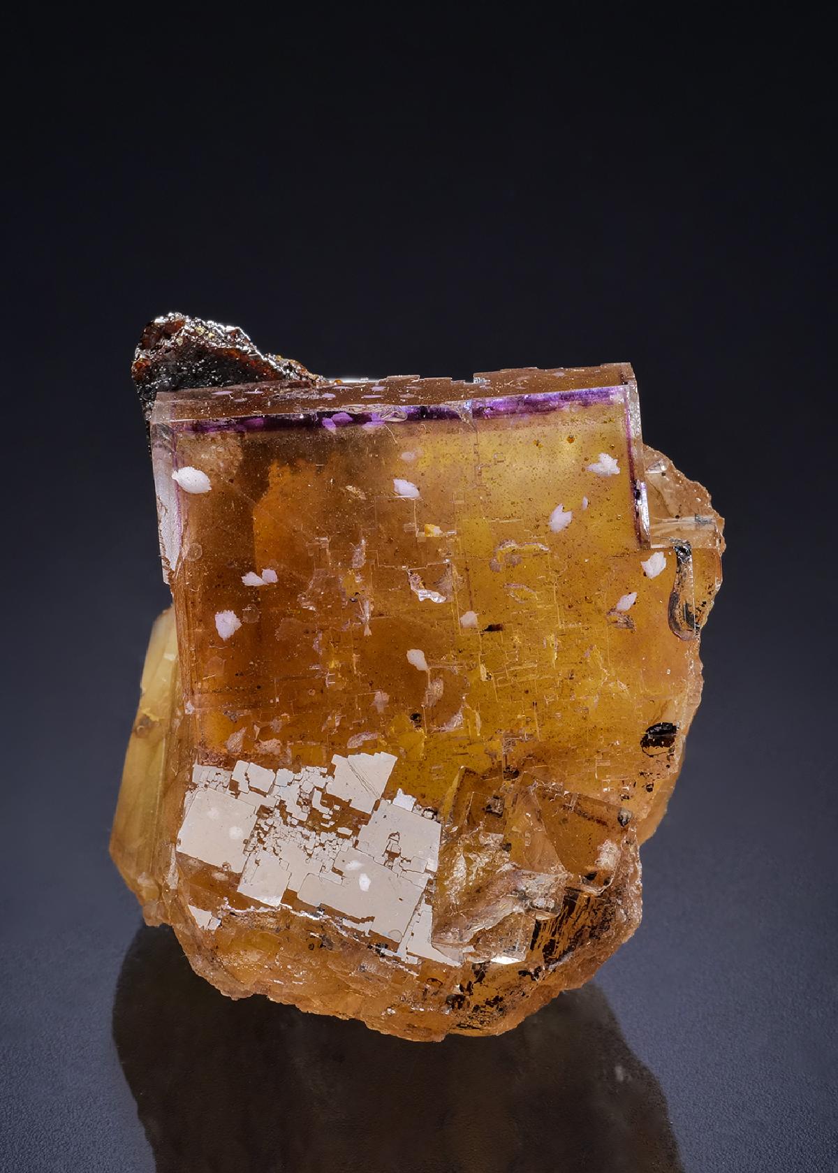 CC44756 specimen image