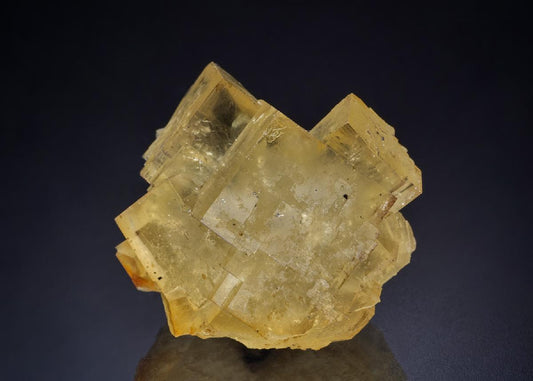 CC44760 specimen image