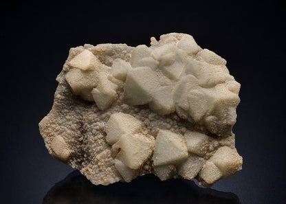CC44780 specimen image