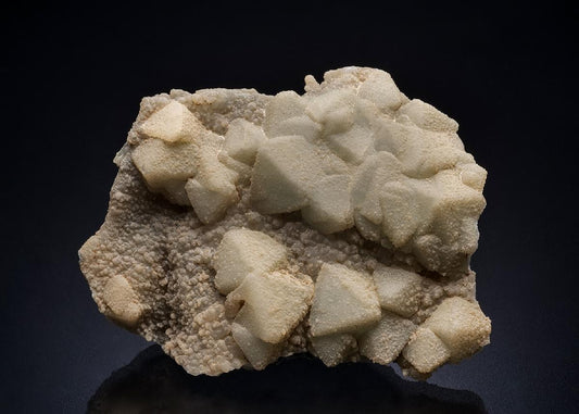 CC44780 specimen image