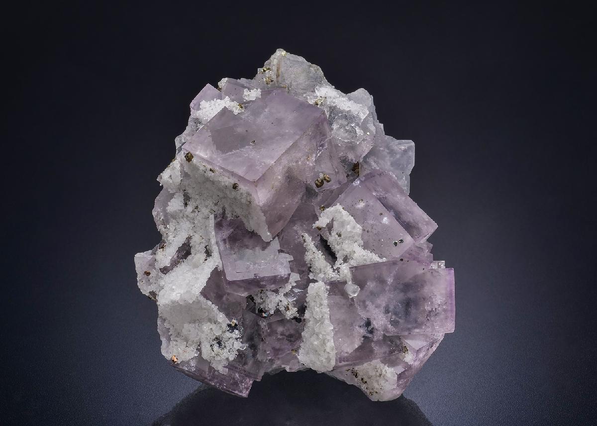 CC44788 specimen image