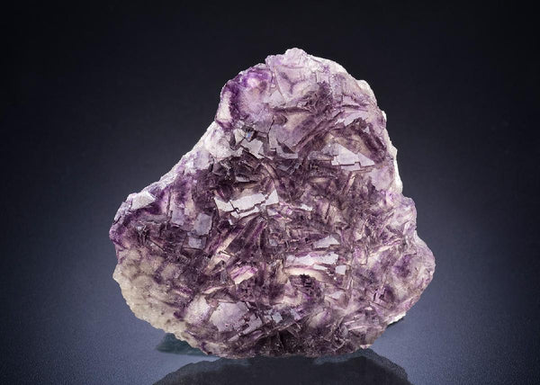 CC44792 specimen image
