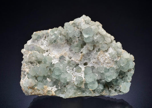 CC44800 specimen image