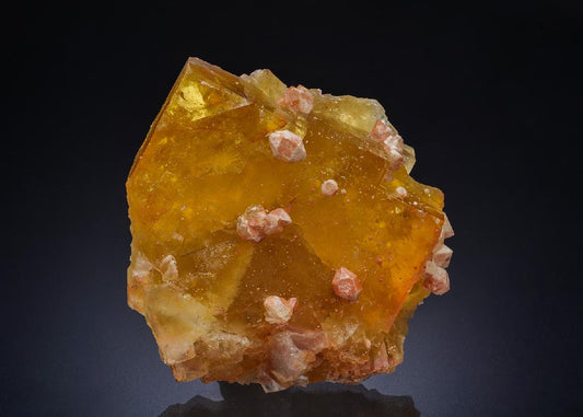 CC44802 specimen image