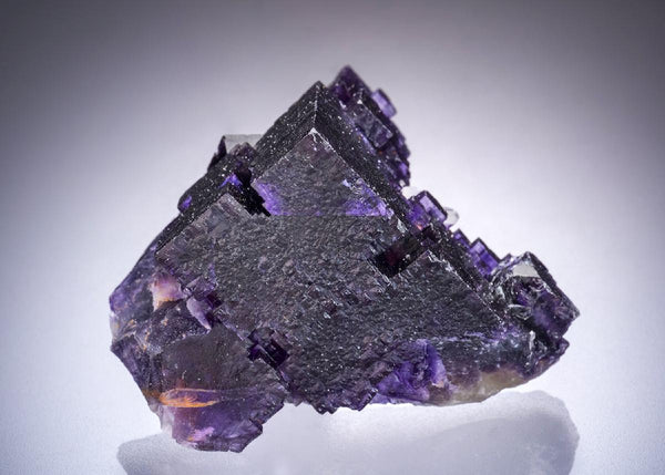 CC44810 specimen image