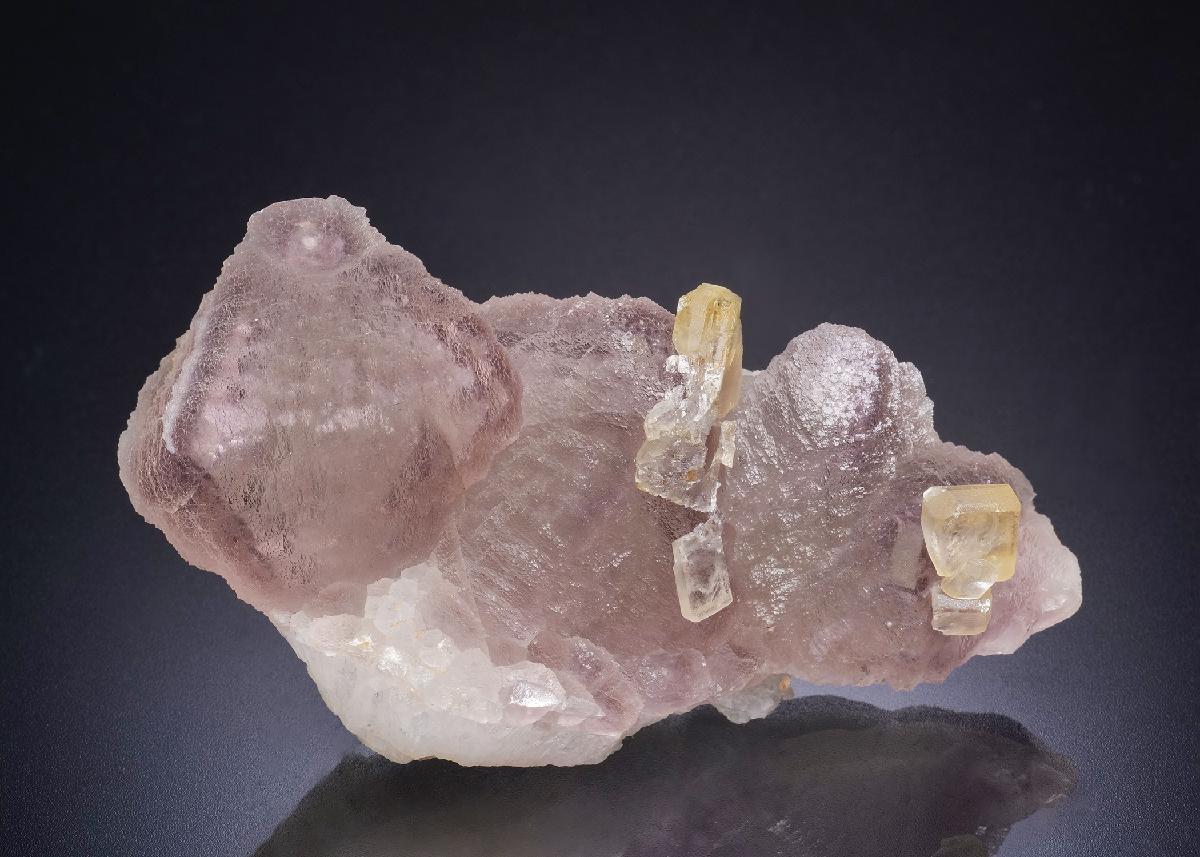CC44834 specimen image