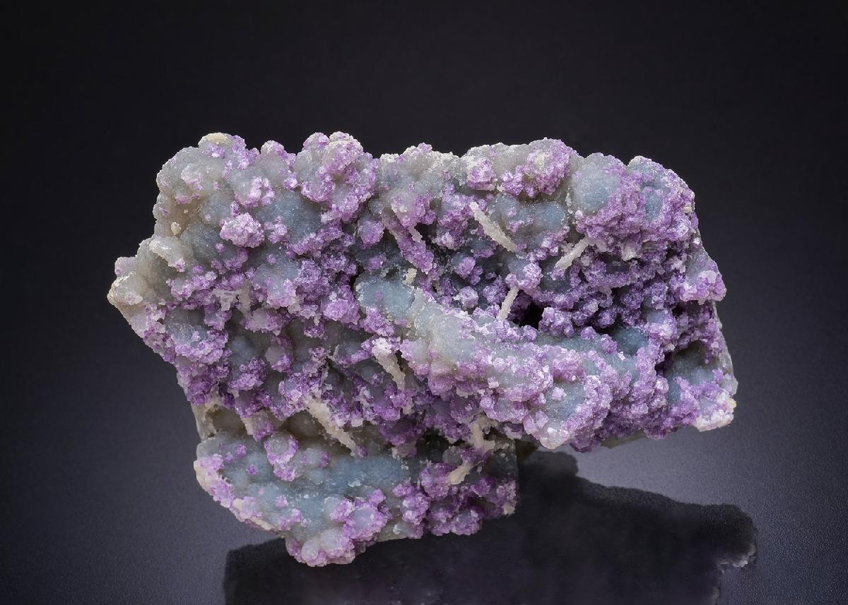CC44842 specimen image