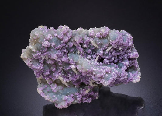 CC44842 specimen image