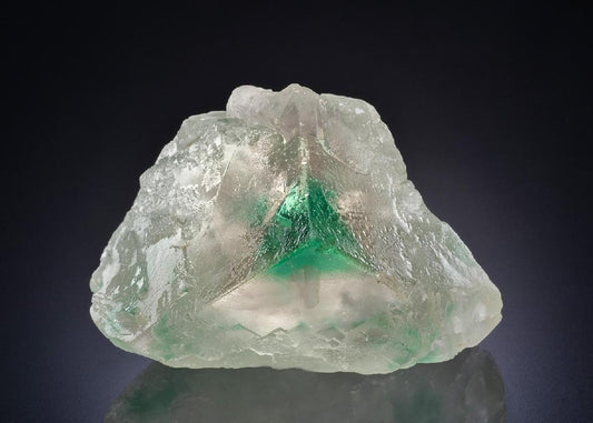 CC44856 specimen image