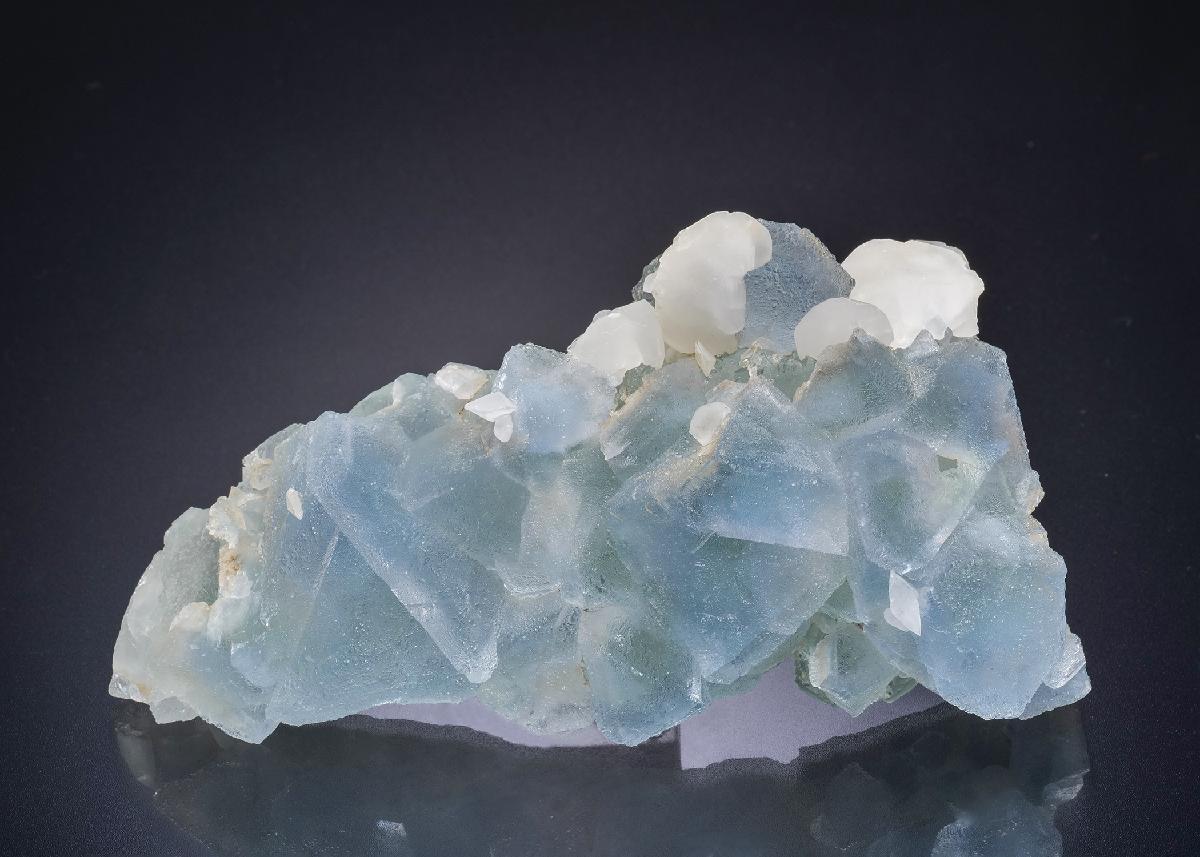 CC44858 specimen image