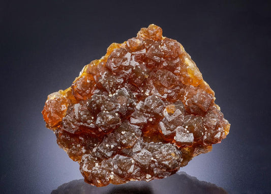 CC44862 specimen image