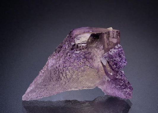 CC44912 specimen image
