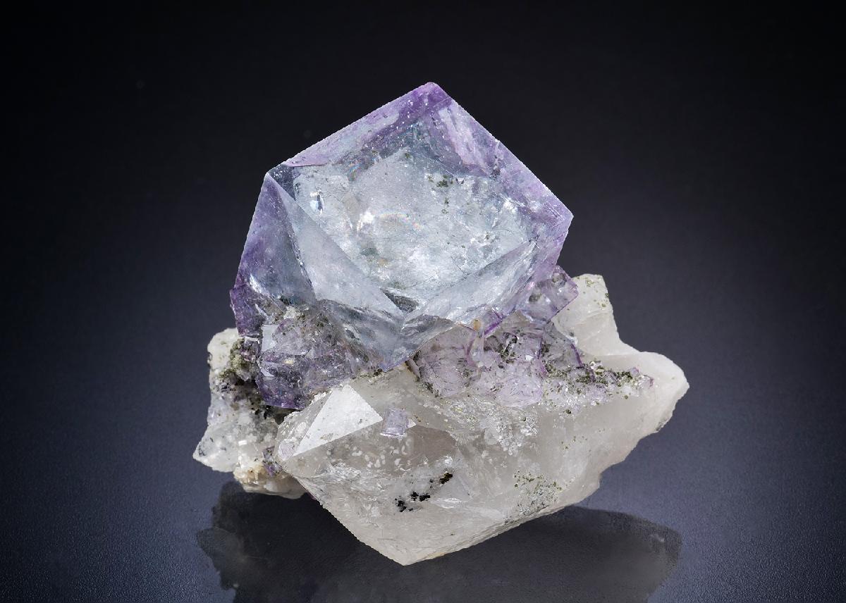 CC44914 specimen image