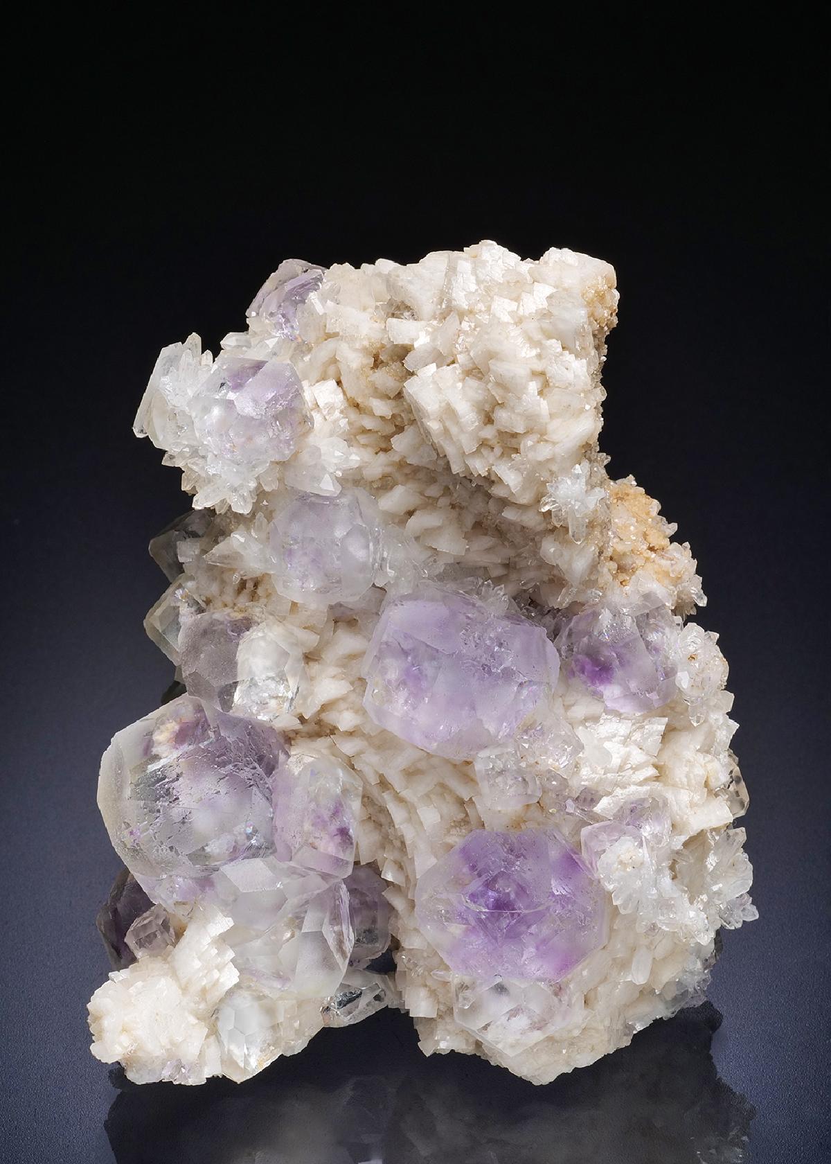 CC44928 specimen image